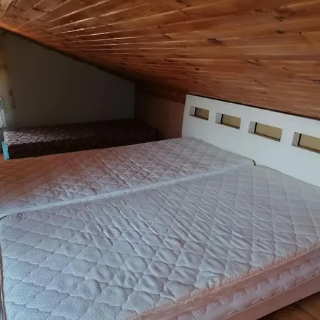 Hotel графити Dospat